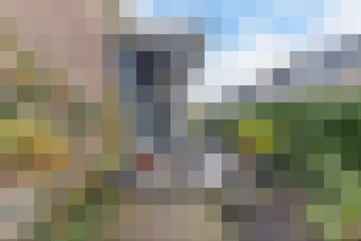 Knetemannstraat 16 Bolsward thumbnail 44