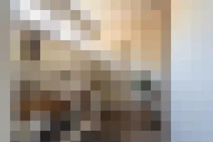 Knijpslaan 4 Kolham thumbnail 16