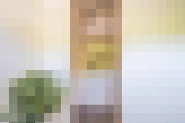 Knijpslaan 4 Kolham thumbnail 18