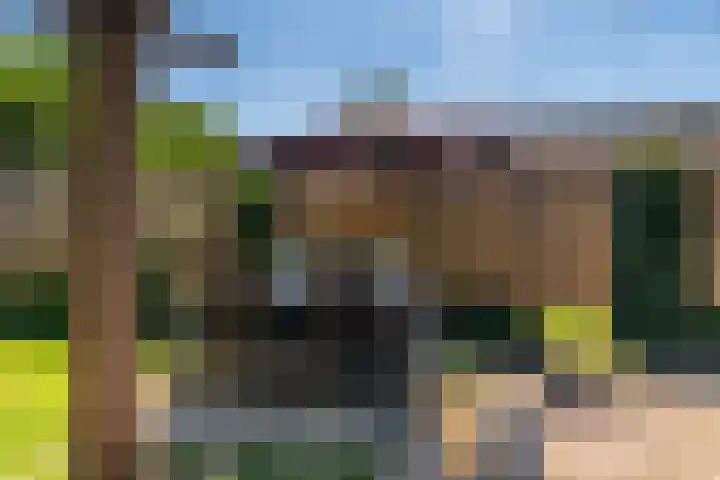 Knijpslaan 4 Kolham thumbnail 28