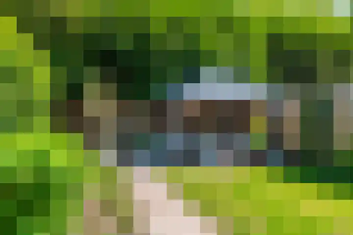 Knijpslaan 4 Kolham thumbnail 29
