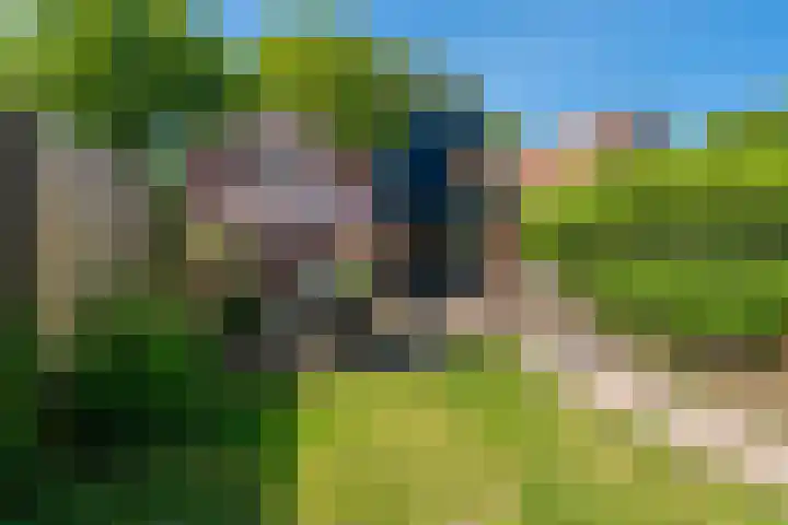Knijpslaan 4 Kolham thumbnail 32