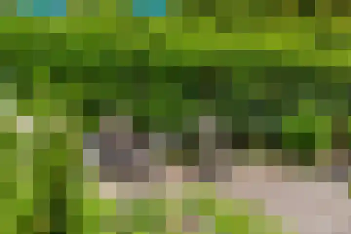 Knijpslaan 4 Kolham thumbnail 33
