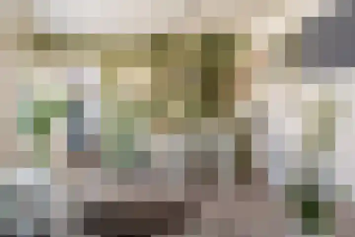 Knijpslaan 4 Kolham thumbnail 8