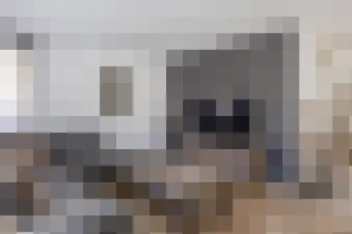 Knikeind 16 Best thumbnail 12