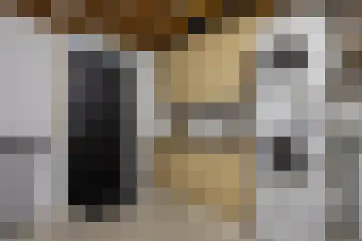 Knikeind 16 Best thumbnail 27