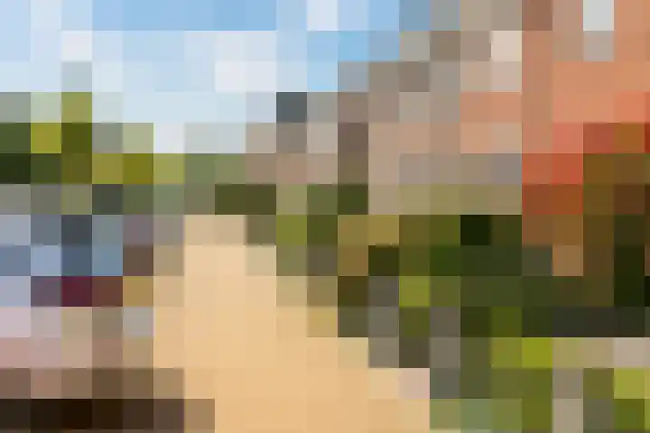 Knikeind 16 Best thumbnail 31