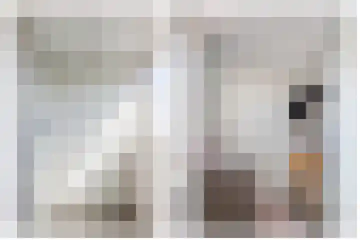 Knikeind 16 Best thumbnail 50