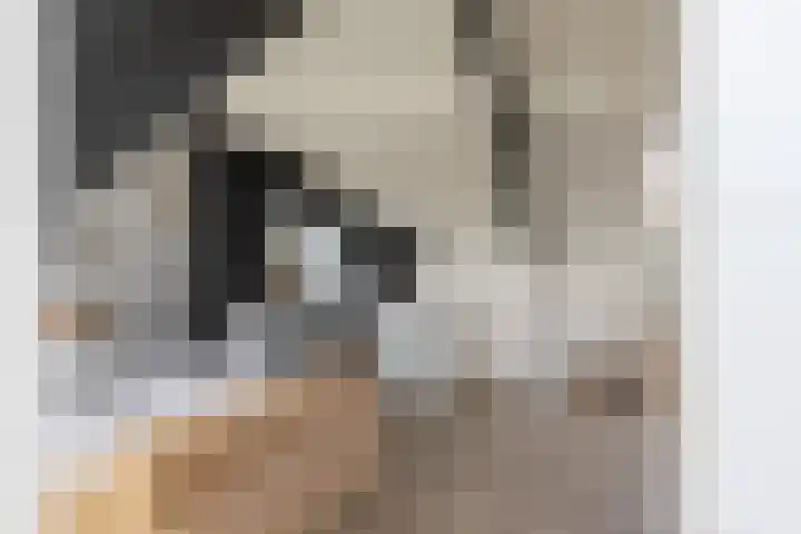 Knikeind 16 Best thumbnail 51