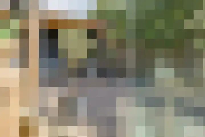 Knikeind 16 Best thumbnail 57