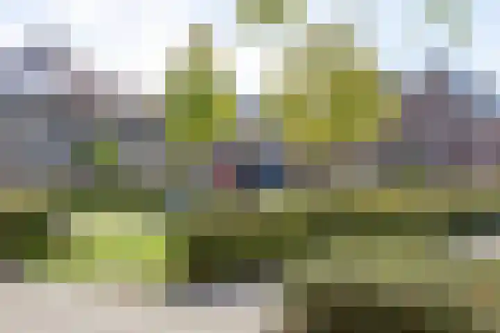 Knikeind 16 Best thumbnail 65