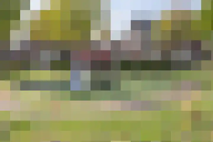 Knikeind 16 Best thumbnail 66
