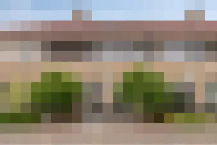 Knikeind 34 Best