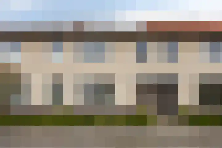 Knikeind 37 Best