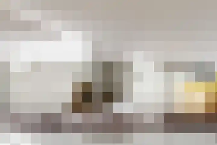 Knoe 17 Wervershoof thumbnail 10