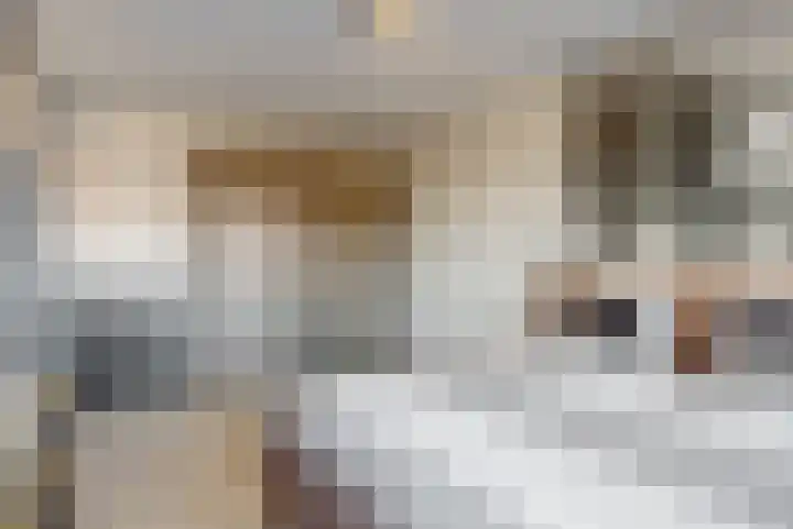 Knoe 17 Wervershoof thumbnail 14