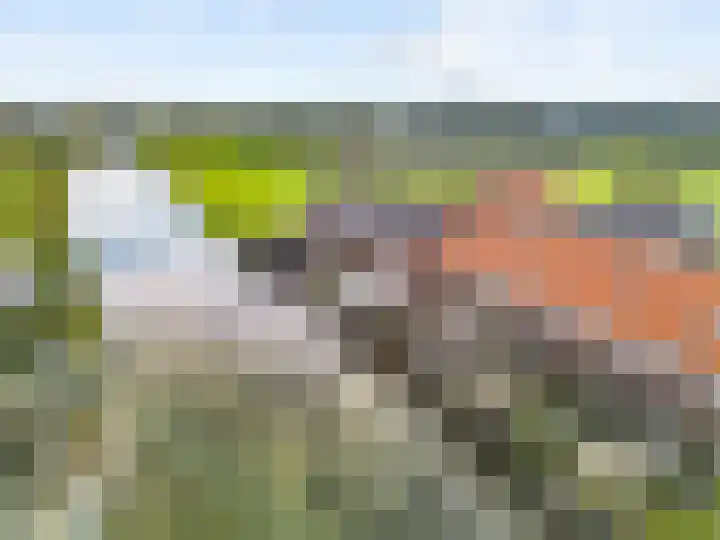 Knoe 17 Wervershoof thumbnail 31