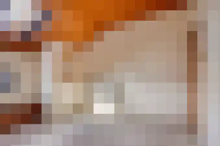 Knollenberg 16 Mook thumbnail 28