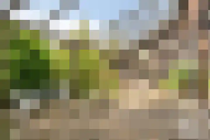 Knollenberg 16 Mook thumbnail 30