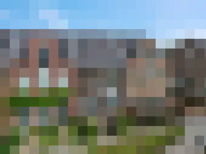 Knoopkruid 7 in Voorthuizen