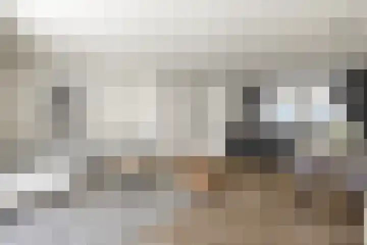 Knopbies 120 Assendelft thumbnail 12