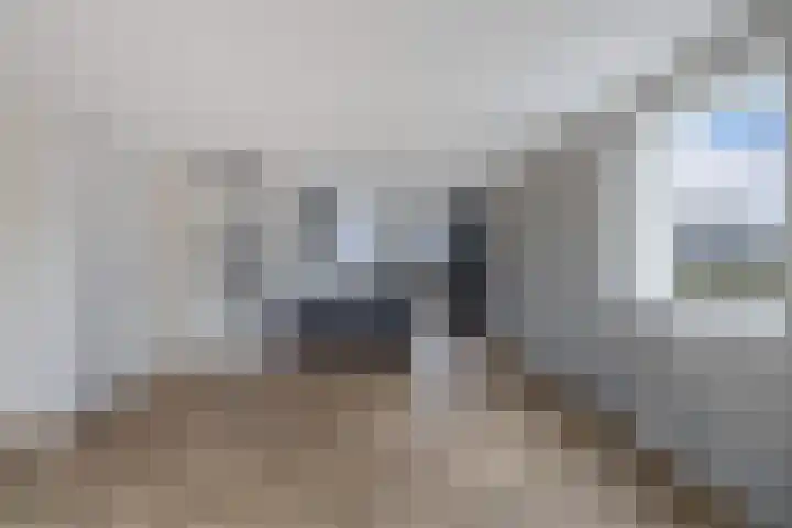 Knopbies 120 Assendelft thumbnail 15