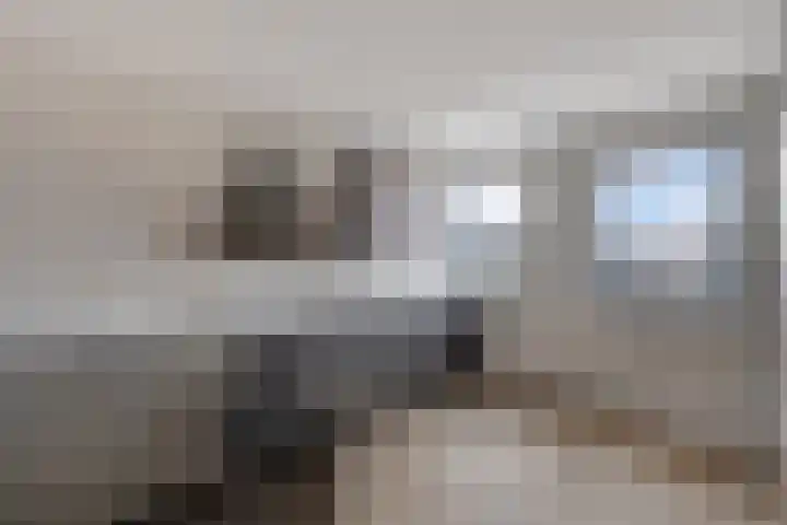 Knopbies 120 Assendelft thumbnail 17