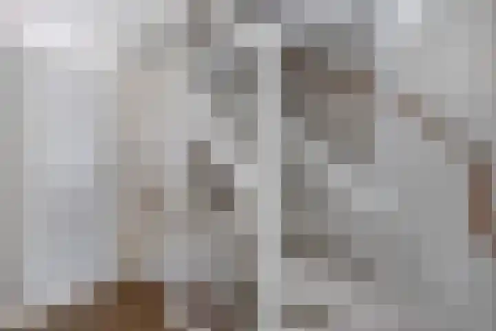 Knopbies 120 Assendelft thumbnail 20