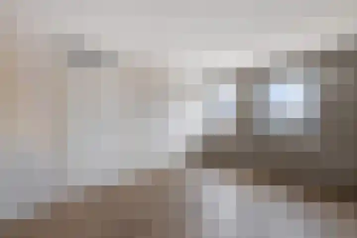Knopbies 120 Assendelft thumbnail 22