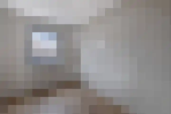 Knopbies 120 Assendelft thumbnail 25