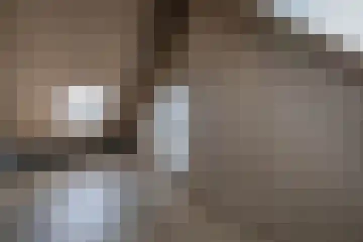 Knopbies 120 Assendelft thumbnail 32