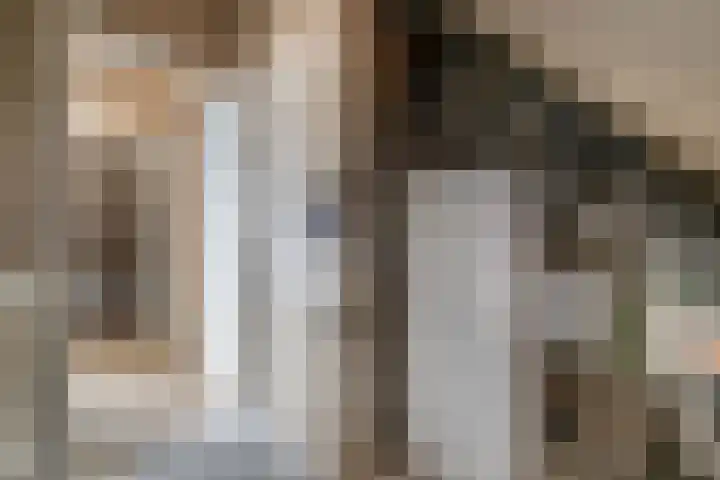 Knopbies 120 Assendelft thumbnail 33