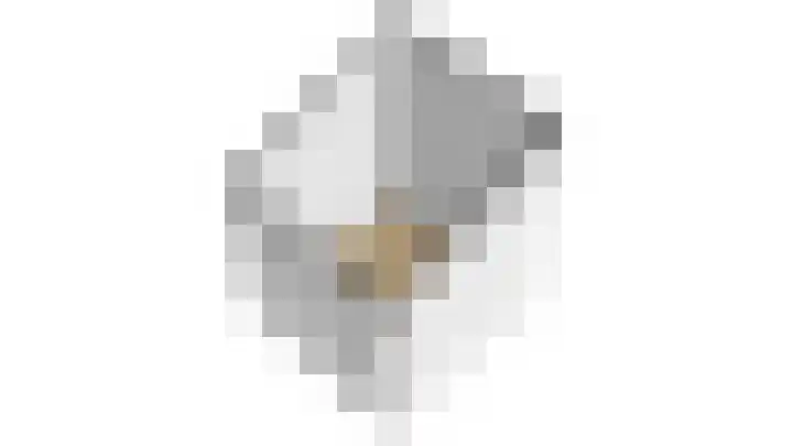 Knopbies 120 Assendelft thumbnail 46