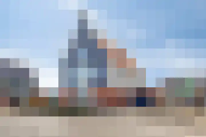 Knopbies 15 dans Assendelft