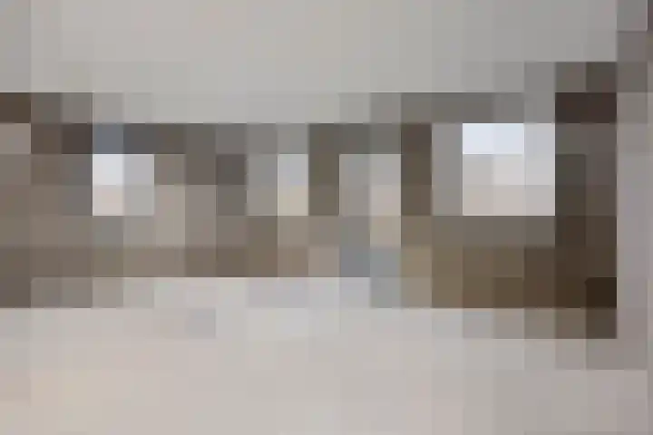 Knopbies 15 Assendelft thumbnail 11