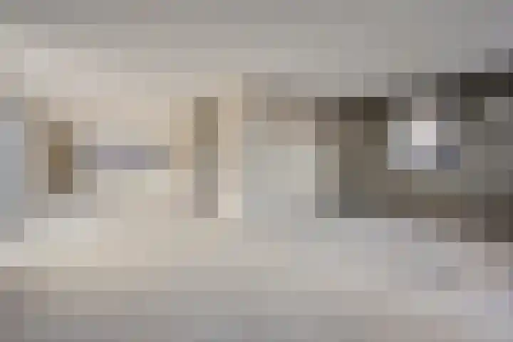 Knopbies 15 Assendelft thumbnail 13