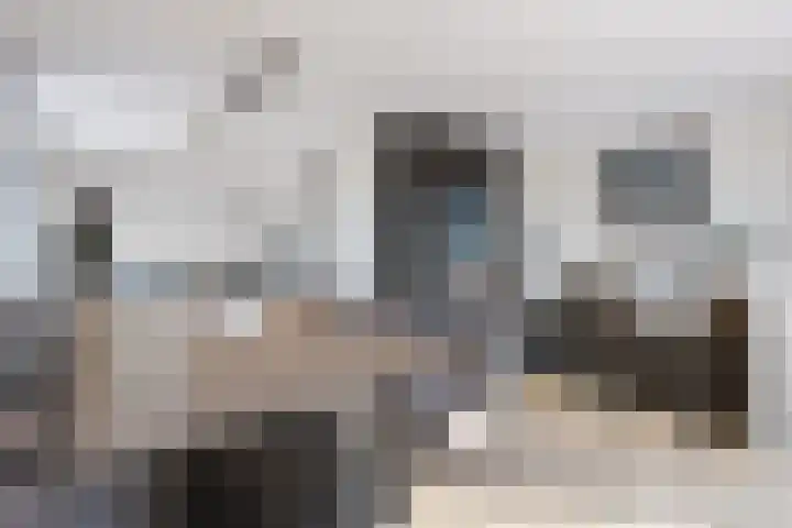 Knopbies 15 Assendelft thumbnail 14