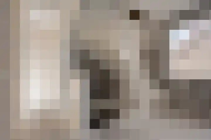Knopbies 15 Assendelft thumbnail 15