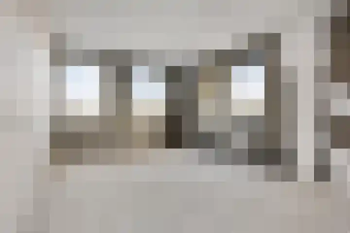 Knopbies 15 Assendelft thumbnail 16