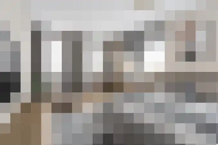 Knopbies 15 Assendelft thumbnail 17