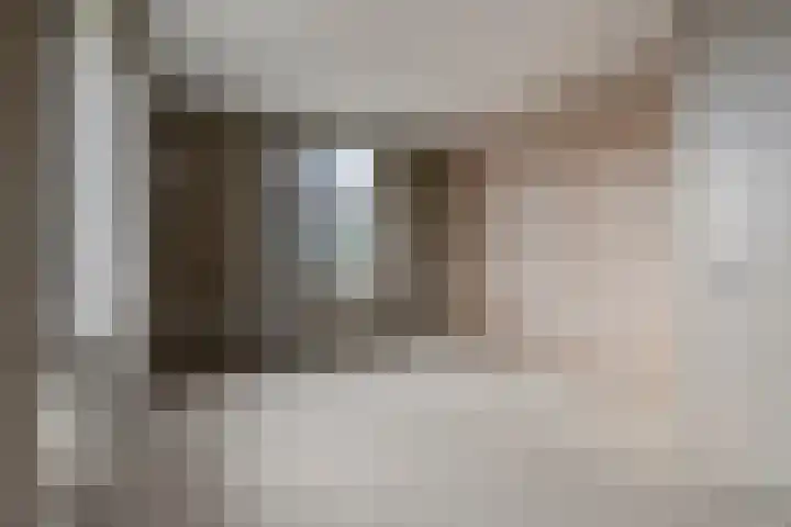 Knopbies 15 Assendelft thumbnail 19