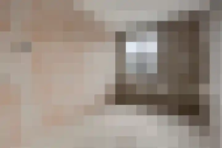 Knopbies 15 Assendelft thumbnail 21