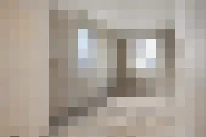 Knopbies 15 Assendelft thumbnail 22