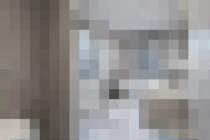 Knopbies 15 Assendelft thumbnail 23