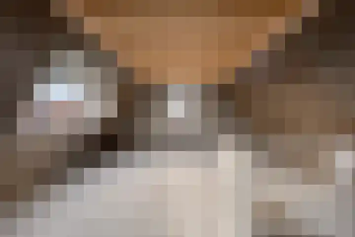 Knopbies 15 Assendelft thumbnail 25