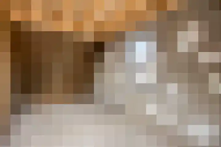 Knopbies 15 Assendelft thumbnail 27