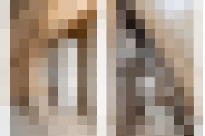 Knopbies 15 Assendelft thumbnail 29