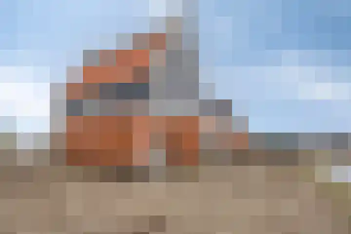 Knopbies 15 Assendelft thumbnail 31