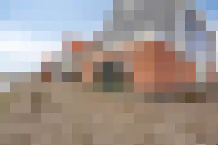 Knopbies 15 Assendelft thumbnail 32