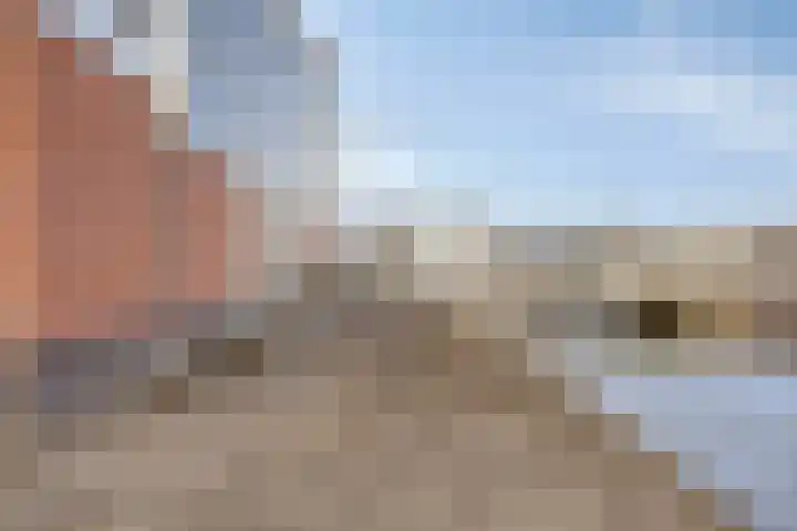 Knopbies 15 Assendelft thumbnail 33